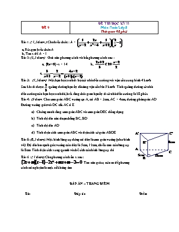 Đề thi học kì 2 Toán Lớp 8 - Đề 9 (Có đáp án)