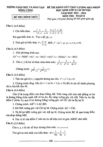 Đề thi khảo sát chất lượng mũi nhọn cấp huyện Toán Lớp 8 - Năm học 2021-2022 - Phòng GD&ĐT Nông Cống