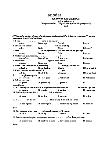 Đề ôn thi học sinh giỏi Tiếng Anh Lớp 8 - Đề số 16 (Có đáp án)